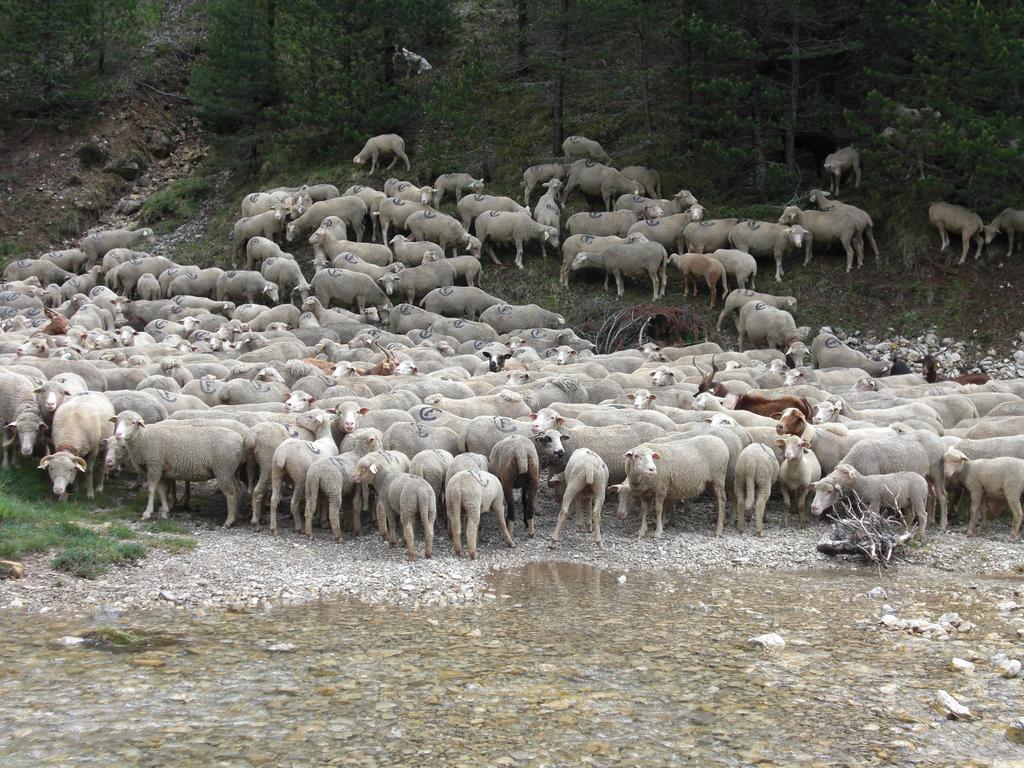 La Sauvaniere Menee Bagian luar foto